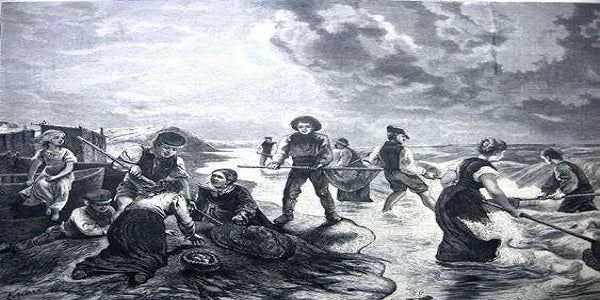 Baltic Amber Stone #1 A Beautiful Addition to Your Jewelry Collection