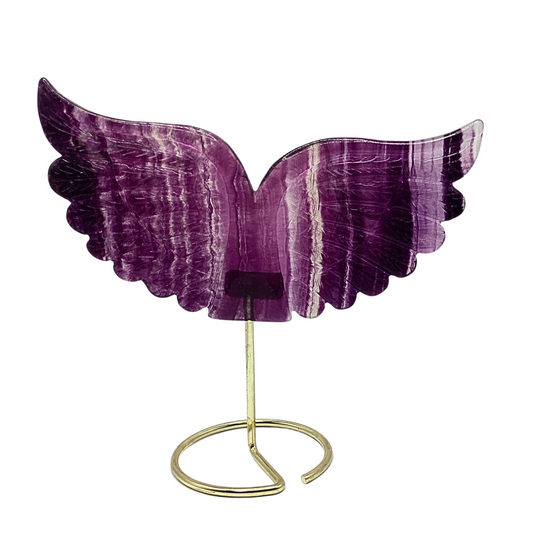 Crystal Wings 159-hgo