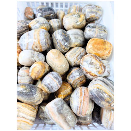 Bumblebee Calcite 4-IJL