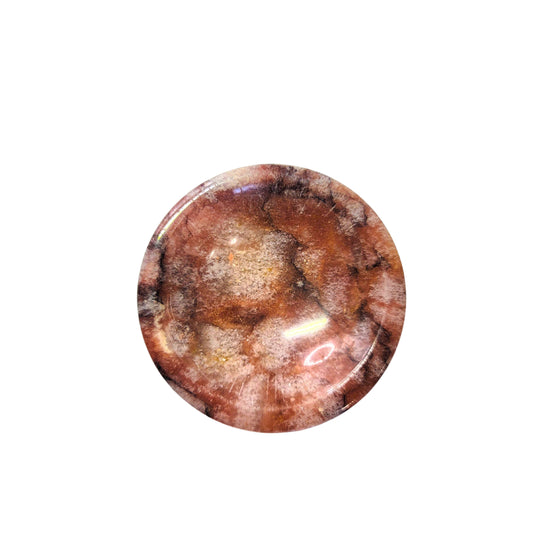 Bowel 14-ecw