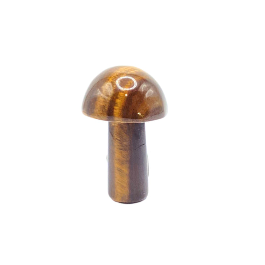 Mushroom 15-edn