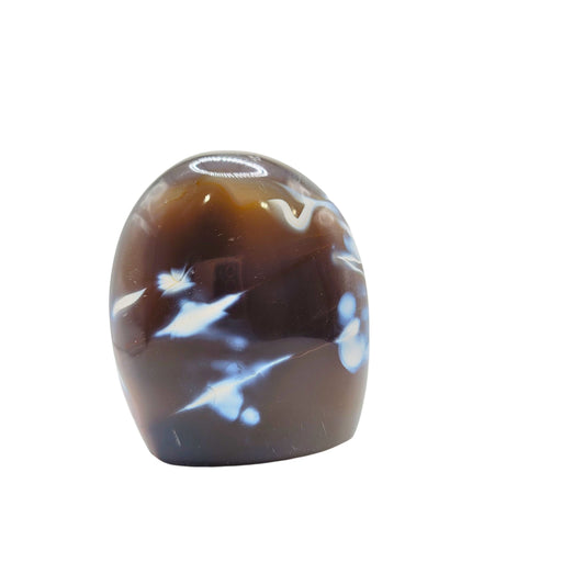 Orca Agate 45-hhn