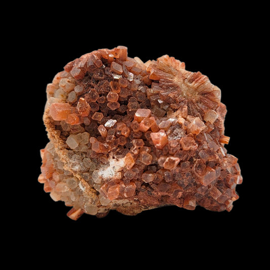 Red Araganite 22-see