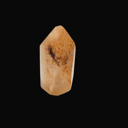 Rutilated Quartz 99-gdm