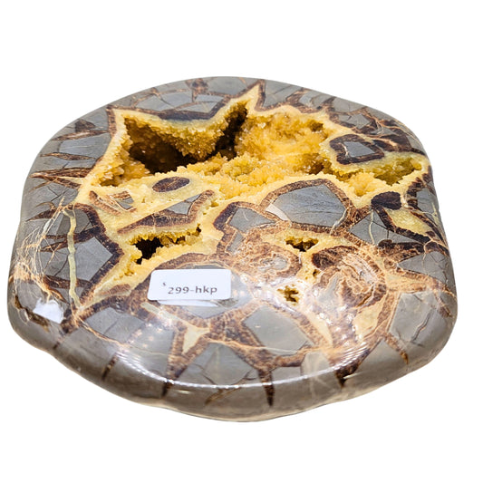 Septarian Geode HKP-299